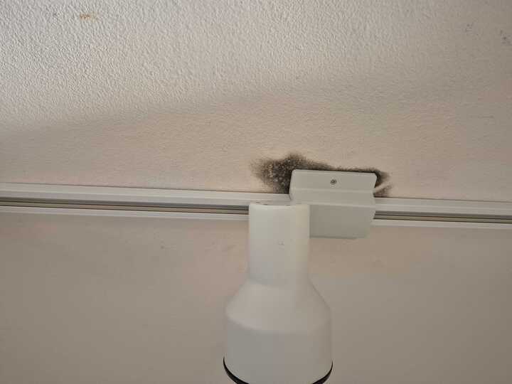 Mold growth around a ceiling light fixture found during mold testing