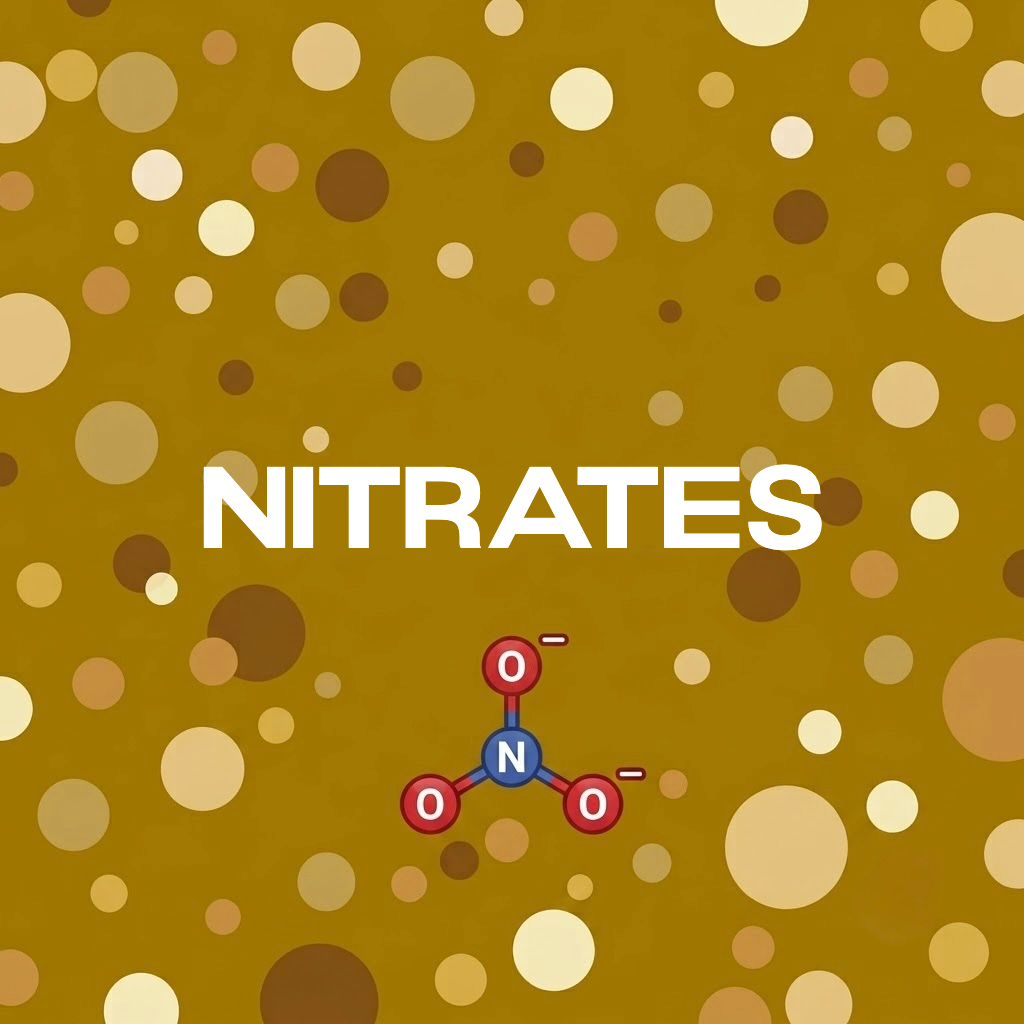 water testing nitrates